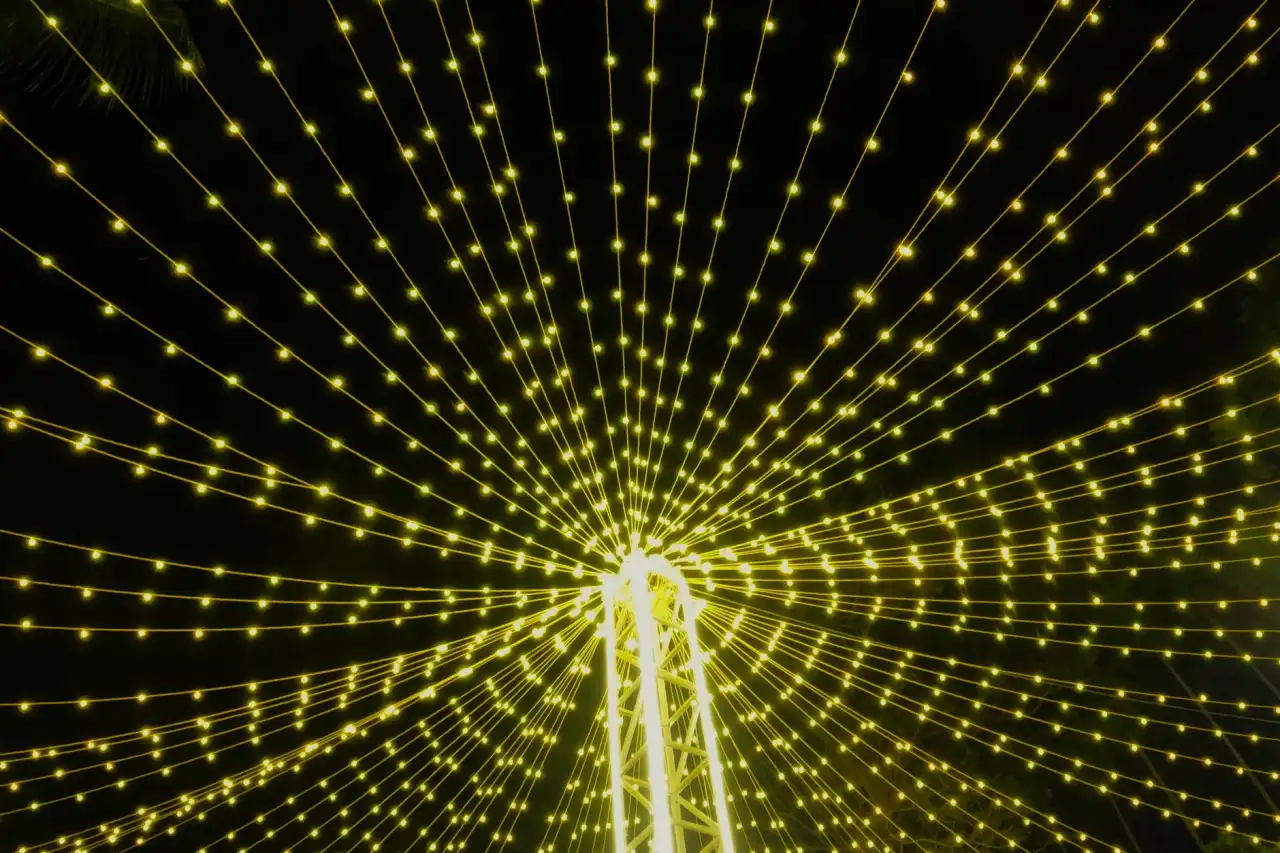 厦门聚鼎诚网络科技：互联网保险服务平台的技术架构与产品服务解析