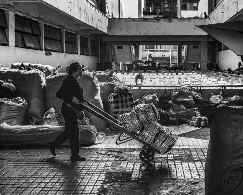 互联网保险服务模式对比：传统投保与在线平台选购的差异分析