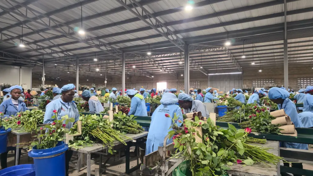 保险科技赋能互联网保险服务升级的路径解析