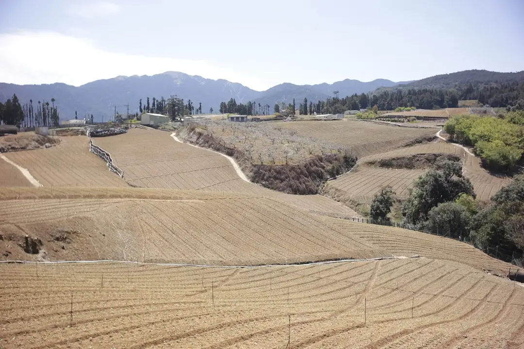 聚保保险网2024年保险科技服务升级：从投保到理赔的全链路解析